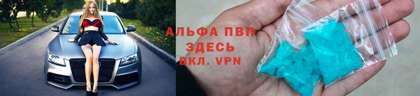 гашик Баксан