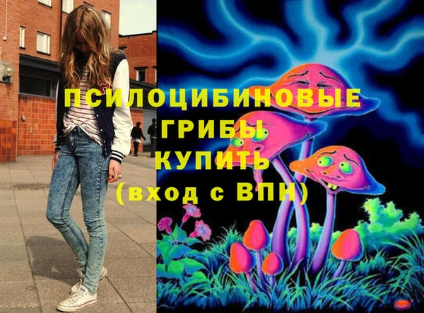гашик Баксан